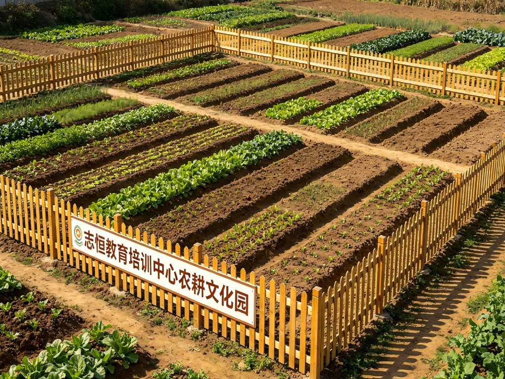 洛阳值得信赖的全封闭管教学校推荐：青春期叛逆孩子的科学教育方案